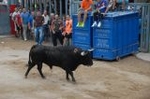 Vila-real cierra las exhibiciones taurinas con otro herido grave en el toro embolado