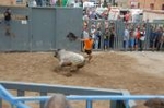 Vila-real cierra las exhibiciones taurinas con otro herido grave en el toro embolado