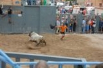 Vila-real cierra las exhibiciones taurinas con otro herido grave en el toro embolado