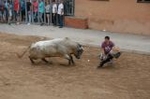 Vila-real cierra las exhibiciones taurinas con otro herido grave en el toro embolado