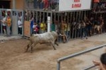 Vila-real cierra las exhibiciones taurinas con otro herido grave en el toro embolado