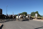Caballos de Alcora, Borriol, La Pobla y Vall d'Alba en la Marxa de Moró 