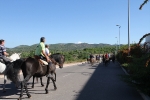Caballos de Alcora, Borriol, La Pobla y Vall d'Alba en la Marxa de Moró 