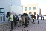 Caballos de Alcora, Borriol, La Pobla y Vall d'Alba en la Marxa de Moró 