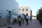 Caballos de Alcora, Borriol, La Pobla y Vall d'Alba en la Marxa de Moró 