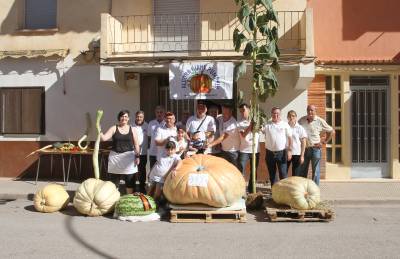 Exito de la exhibición-concurso de calabazas y hortalizas gigantes de l'Alcora