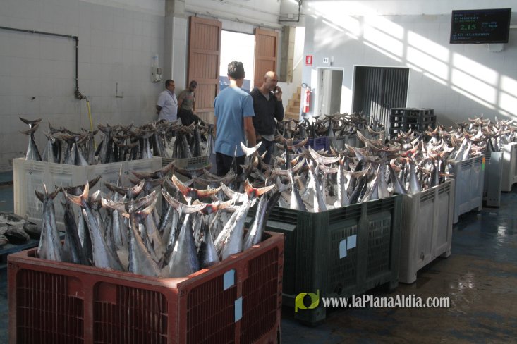 Una embarcación de Burriana capgtura 6.700 kilos de 'bacoretes'