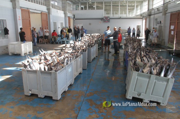 Una embarcación de Burriana capgtura 6.700 kilos de 'bacoretes'