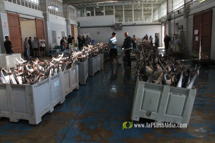 Una embarcación de Burriana capgtura 6.700 kilos de 'bacoretes'