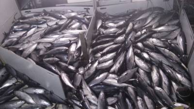 Fotografia /Galeria/2015/9/133168_72568/2_M1.jpg