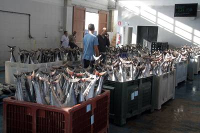 Fotografia /Galeria/2015/9/133168_72568/3_M1.jpg