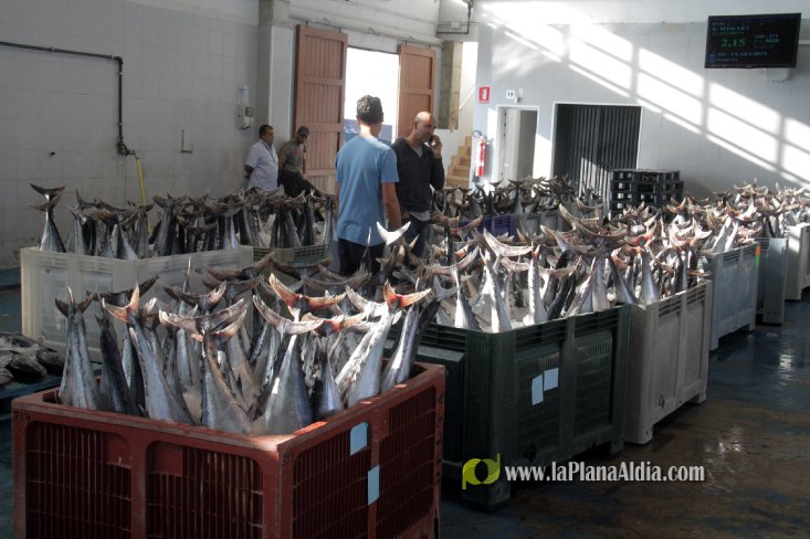 Una embarcación de Burriana capgtura 6.700 kilos de 'bacoretes'