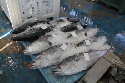 Fotografia /Galeria/2015/9/133168_72568/4_M1.jpg