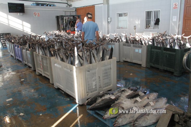 Una embarcación de Burriana capgtura 6.700 kilos de 'bacoretes'