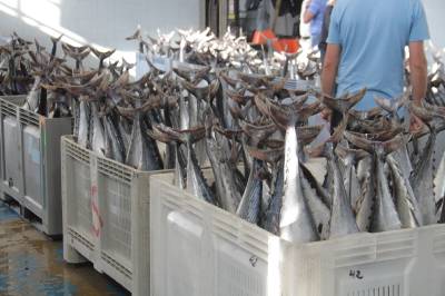 Fotografia /Galeria/2015/9/133168_72568/6_M1.jpg