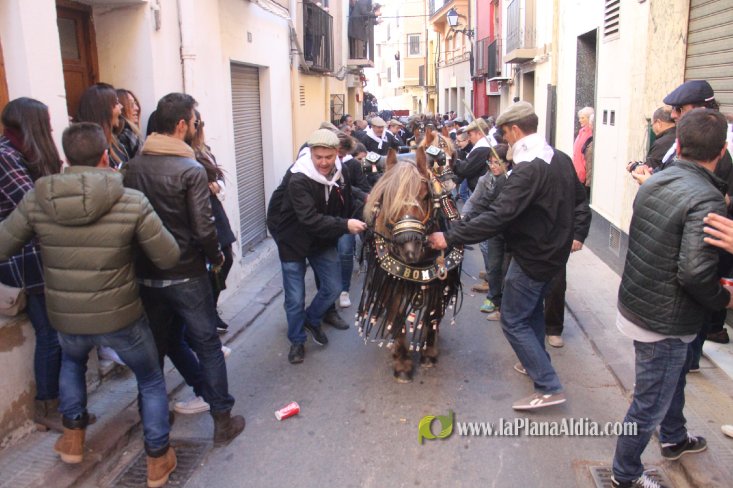 Borriol vive la intensa jornada en honor a Sant Antoni