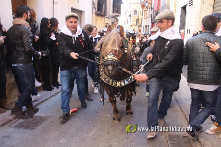 Borriol vive la intensa jornada en honor a Sant Antoni