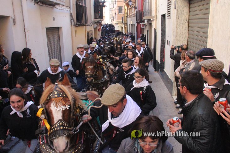 Borriol vive la intensa jornada en honor a Sant Antoni