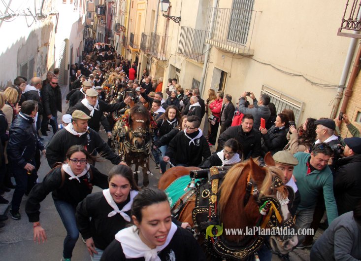 Borriol vive la intensa jornada en honor a Sant Antoni