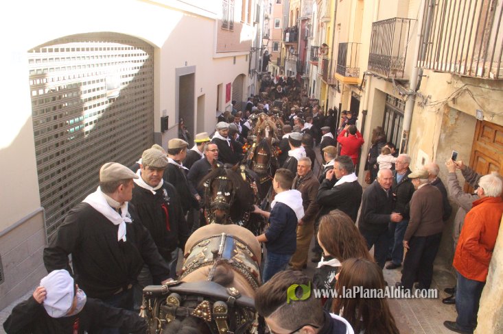 Borriol vive la intensa jornada en honor a Sant Antoni