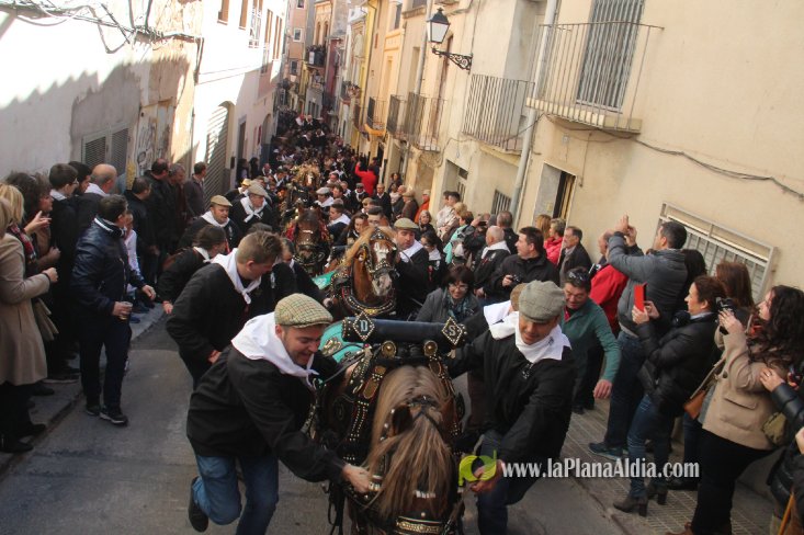 Borriol vive la intensa jornada en honor a Sant Antoni
