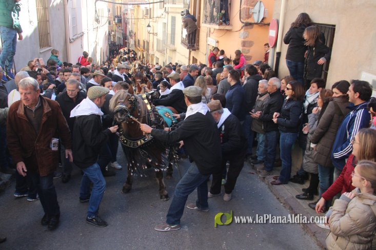 Borriol vive la intensa jornada en honor a Sant Antoni