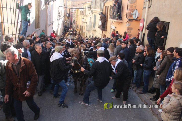 Borriol vive la intensa jornada en honor a Sant Antoni