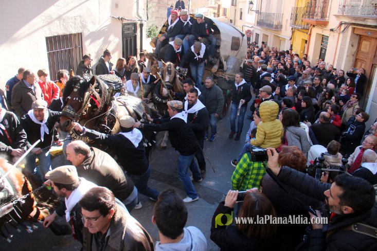 Borriol vive la intensa jornada en honor a Sant Antoni