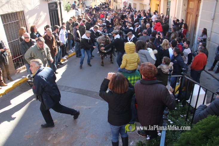 Borriol vive la intensa jornada en honor a Sant Antoni