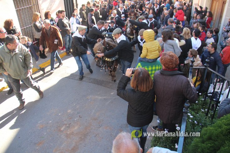 Borriol vive la intensa jornada en honor a Sant Antoni