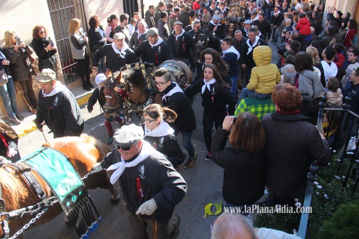 Borriol vive la intensa jornada en honor a Sant Antoni