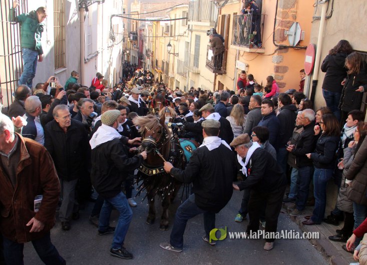 Borriol vive la intensa jornada en honor a Sant Antoni
