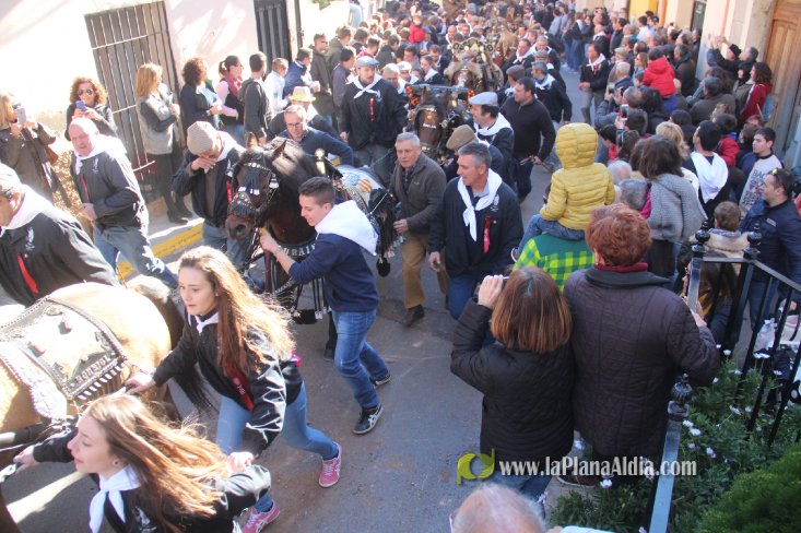 Borriol vive la intensa jornada en honor a Sant Antoni