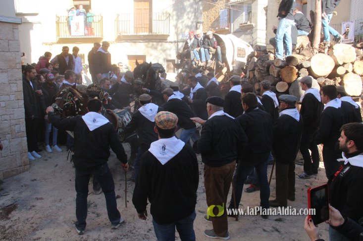 Borriol vive la intensa jornada en honor a Sant Antoni