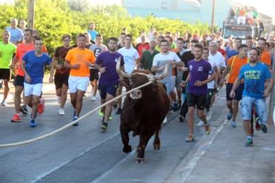 Fotografia /Galeria/2016/10/148922_84075/2_M1.jpg