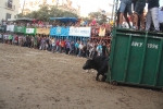 Lleno total en las exhibiciones taurinas