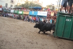Lleno total en las exhibiciones taurinas