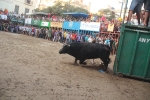 Lleno total en las exhibiciones taurinas