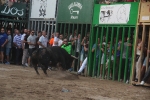 Lleno total en las exhibiciones taurinas