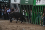 Lleno total en las exhibiciones taurinas