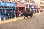 Magia, música y toros en el ecuador de las fiestas del Roser de Almassora