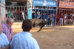 Magia, música y toros en el ecuador de las fiestas del Roser de Almassora