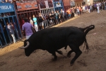 Magia, música y toros en el ecuador de las fiestas del Roser de Almassora