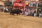 Los toros protagonizan una nueva jornada de fiestas del Roser en Almassora