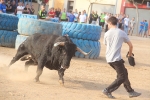 Dia de les Penyes