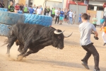 Dia de les Penyes