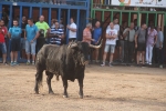 Dia de les Penyes