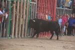 Dia de les Penyes