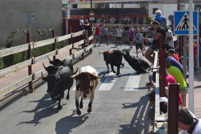 Orpesa embola el primer toro de fiestas y homenajea a dos mticos recortadores