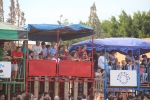 Las exhibiciones taurinas concluyen con un herido por asta de vaquilla